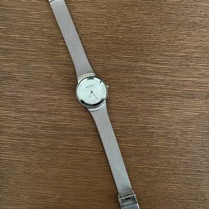 Womens Dainty Skagen Watch